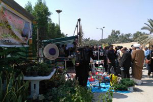 جشنواره دست‌آوردهای روستایی